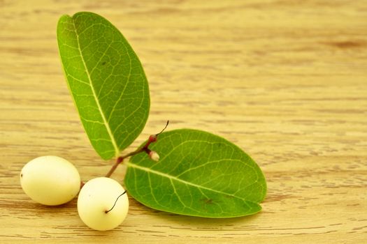 White carunda or karonda on bottom left with wood background.