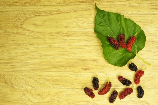 Red and black mulberry on  leaf place on right with wood background.