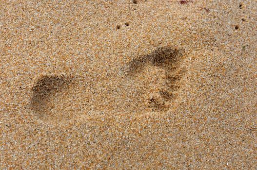 Single human footprint in wet sea sand
