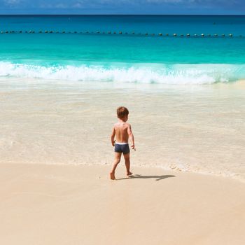 Two year old baby boy playing on beach at Seychelles