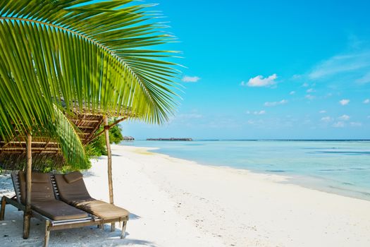 Beautiful beach at Maldives with chaise-lounges