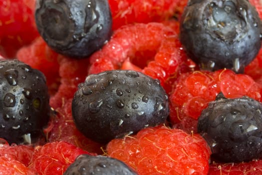 Wet blueberries and raspberries closeup