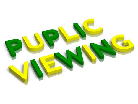 3d word puplic viewing