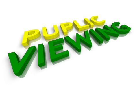 3d word puplic viewing