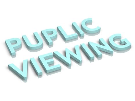 3d word puplic viewing