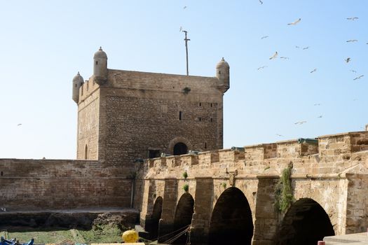 Fortifications showing tower and canons in Essaouira in Morroco