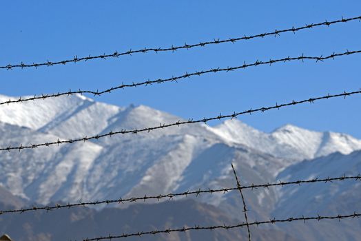 Barbed wire fence in winter with snow mountain background
