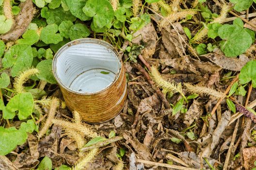 Rusty gold and white colored tin in grass