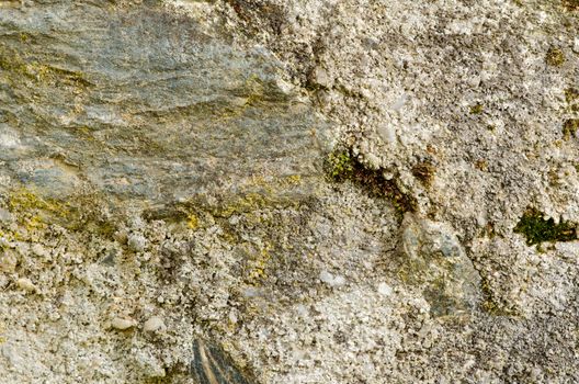 Mossy stone and plaster texture in side sunlight