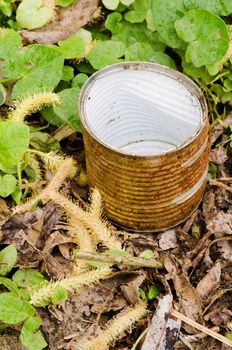 Rusty gold and white colored tin in grass