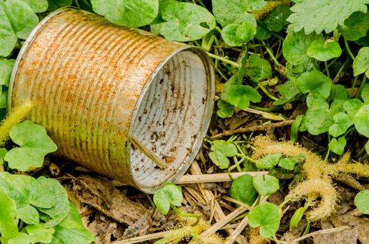 Rusty gold and white colored tin in grass