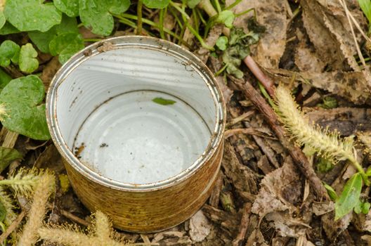 Rusty gold and white colored tin in grass