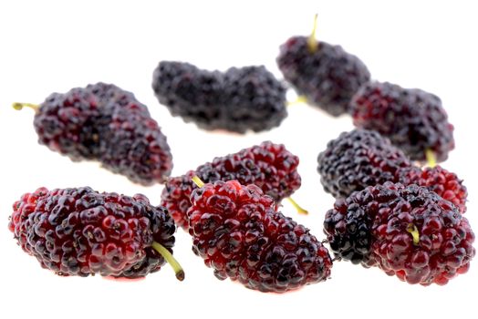 Closeup of mulberry on a white background, macro 