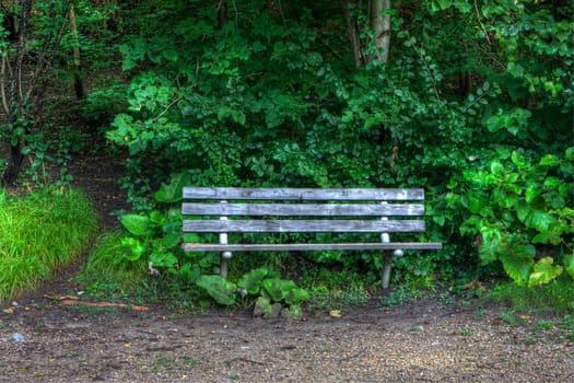 bench in the woods in high dynamic range