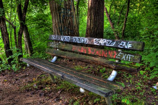 Graffiti bench in the woods in high dynamic range