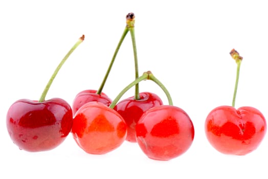 Sweet red cherries isolated on a white background