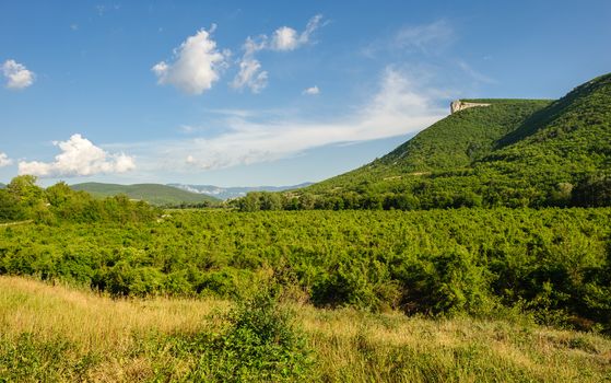 High mountain cliff in Crimea, Ucraine or Russia