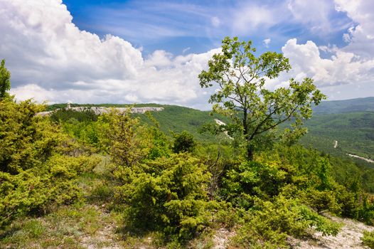 Landscape of mountain Crimea, Ukraine or Russia