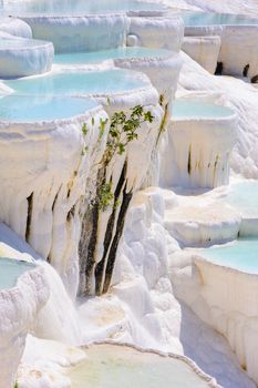 Blue cyan water travertine pools at ancient Hierapolis, now Pamukkale, Turkey