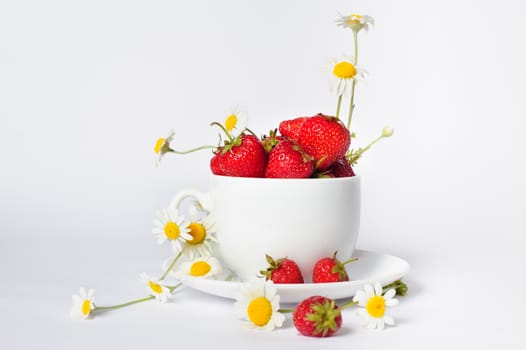 chamomiles and strawberries in white coffee cup, on white background