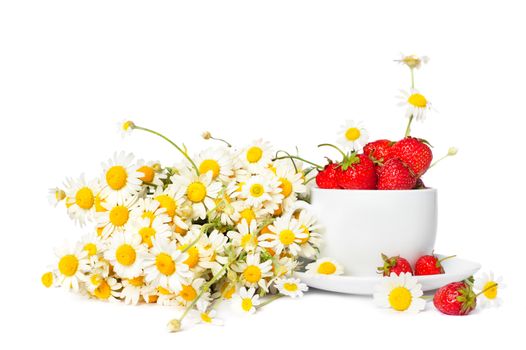 chamomiles and strawberries in white coffee cup, isolated on white