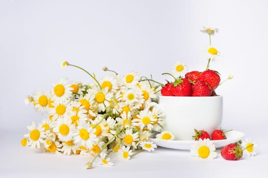 chamomiles and strawberries in white coffee cup, white background
