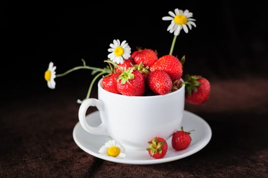 chamomiles and strawberries in white coffee cup, on dark brown background