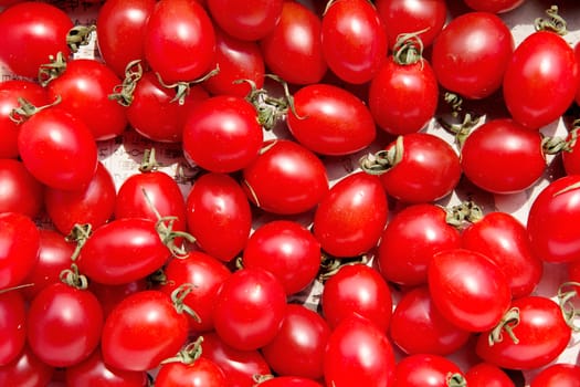 red tomatoes background