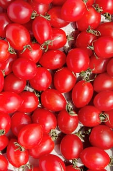 red tomatoes background