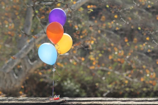 Birthday Balloons Outdoors at a Celebration with Copy Space