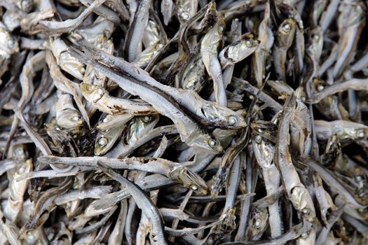 close up of Dried Sardines background