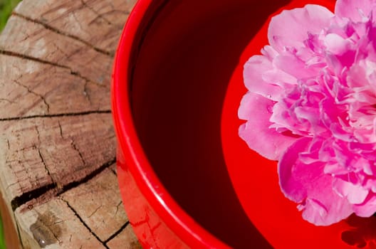 concept of pink peony petals in clay bowl on wooden surface