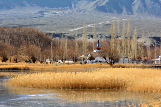 landscape with mountain, rock and stream at Ladakh, India