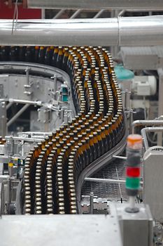 Beer bottles in the production line