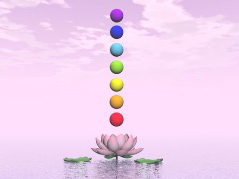 Colorful spheres for chakras upon beautiful lily flower by pink day