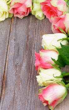 Corner Border of Beauty White-Green and Pink Roses closeup on Rustic Wooden background