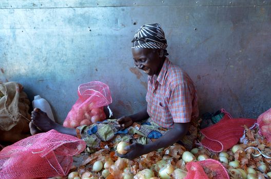 LUSAKA,ZAMBIA - DECEMBER 2:Lusaka,Zambia-December 2,2011: farmer woman select onion for distribution in Zambia and Malawi,on December 2,2011 in Lusaka, Zambia