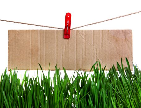 Wide Guide Sign on the String above the Grass on the White Background