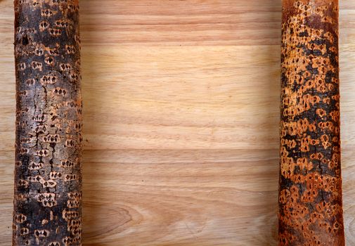 Two logs on the Wooden background