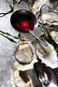 Opened oysters on ice with red souse