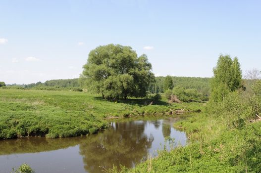 Koloksha river in spring time, Middle Russia