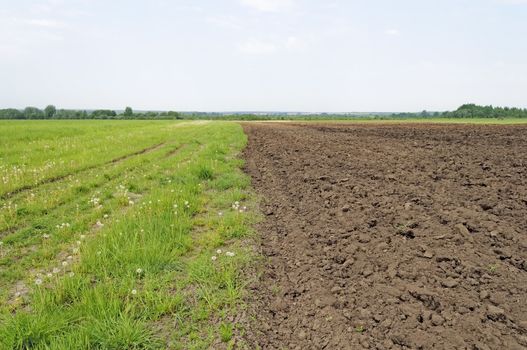 Freshly plowed farm field before sowing, spring time