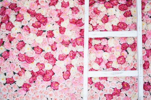 background full of white and pink roses and old ladder