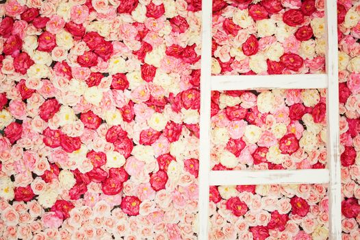background full of white and pink roses and old ladder