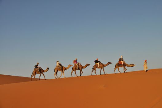 MERZOUGA DESERT - OCTOBER 01: Tourists in a camel caravan in Merzouga Desert, Morocco on October 01, 2013.