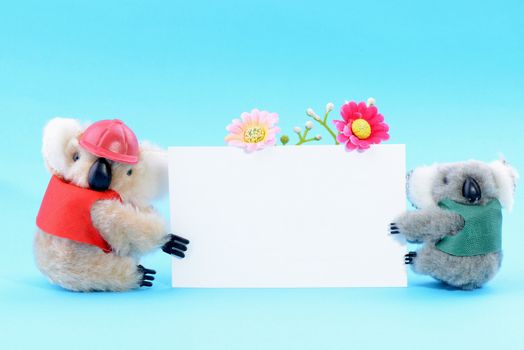 Two toy koala holding a blank white card on a blue background