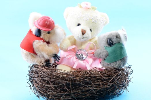 Nest with a toy Teddy Bear and two koala on a blue background