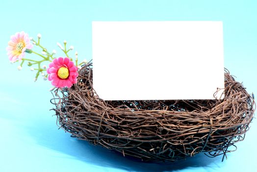 Nest with a blank white card on a blue background