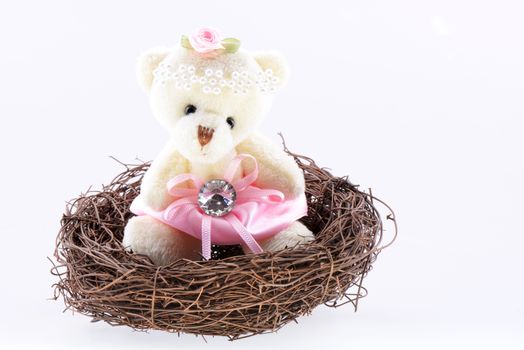 Nest with a Teddy Bear on a white background
