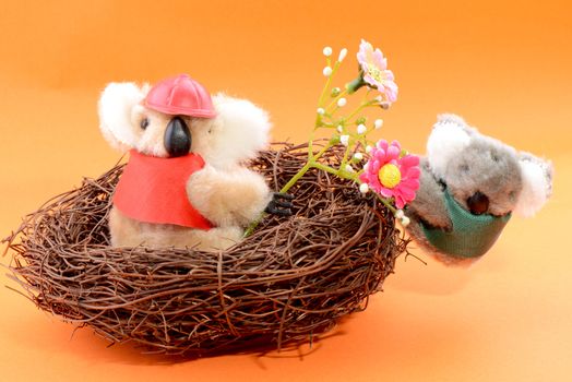 Nest with two Toy Koala on an orange background